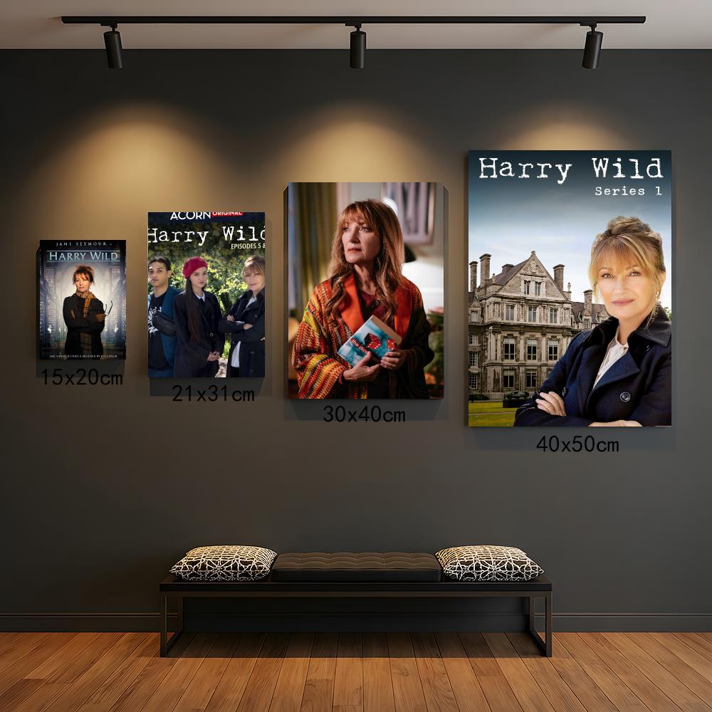 Interior Design Tv Room - ТВ-сериал H-Harry Wild-D: Картины, каллиграфия, элегантный