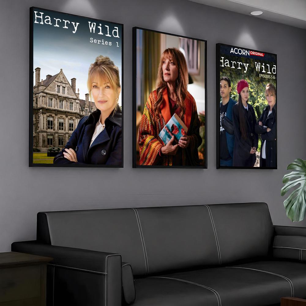 ТВ-сериал H-Harry Wild-D: Карт – обзор и цена Interior Design Tv Room