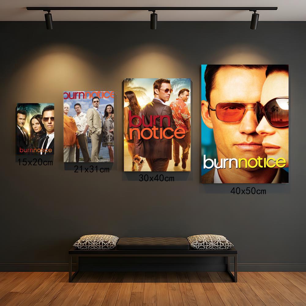 ТВ-сериал B-Burn Notice-E Карт – обзор и цена Interior Design Tv Room