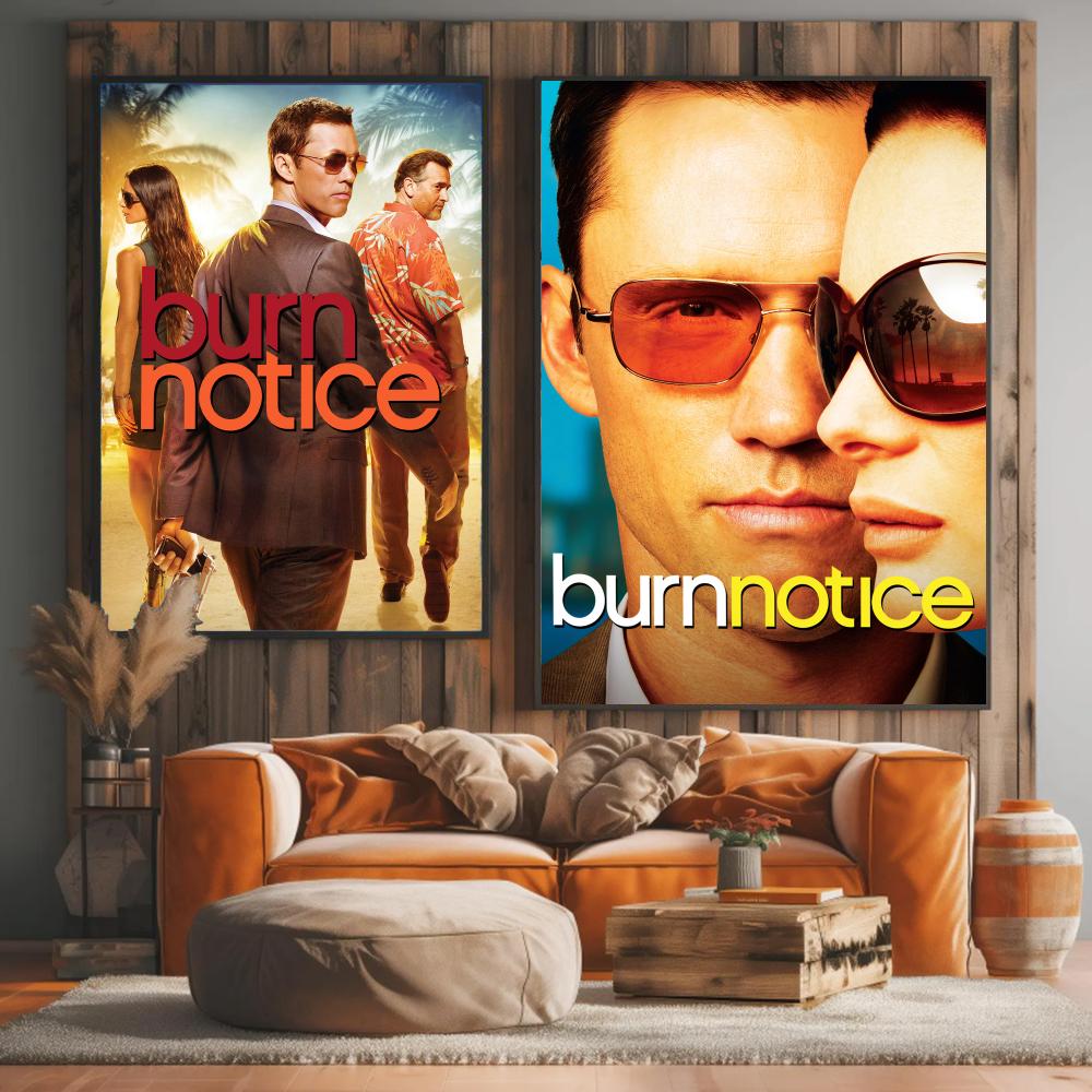 ТВ-сериал B-Burn Notice-E Карт – обзор и цена Interior Design Tv Room