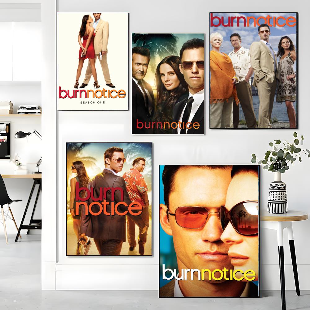 ТВ-сериал B-Burn Notice-E Карт – обзор и цена Interior Design Tv Room