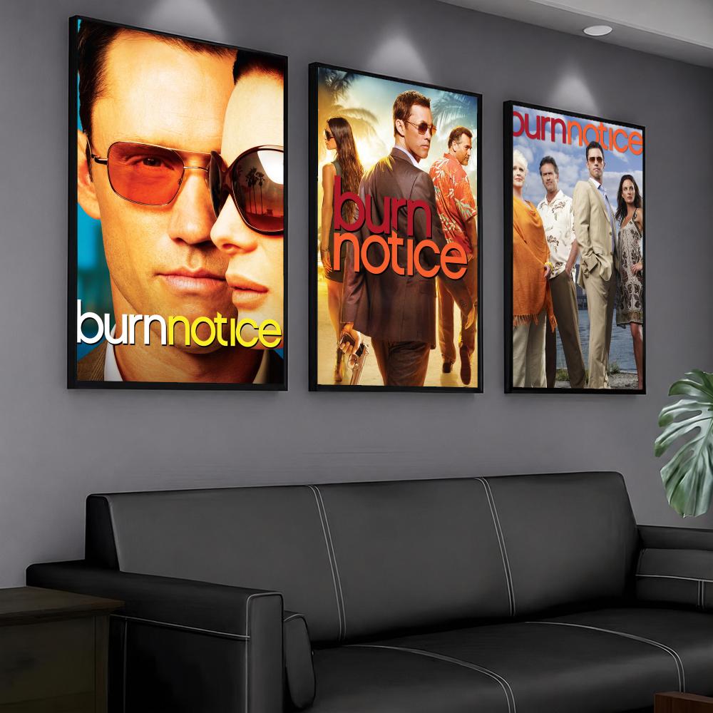 ТВ-сериал B-Burn Notice-E Карт – обзор и цена Interior Design Tv Room